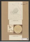 Triceratium montereyi Brightw. (de-Toni-Nr.: Genus 140, Species 3732) Zeichnungen Sammlung Grunow Nr. 7243 (NHMW-BOT-W0376241)
